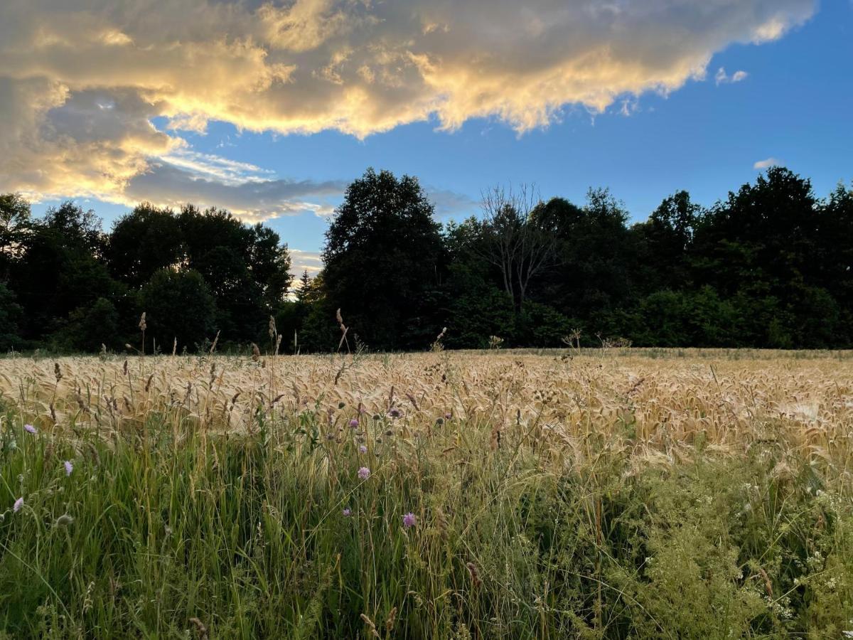 Sjoenaera Stuga Norrtälje Dış mekan fotoğraf